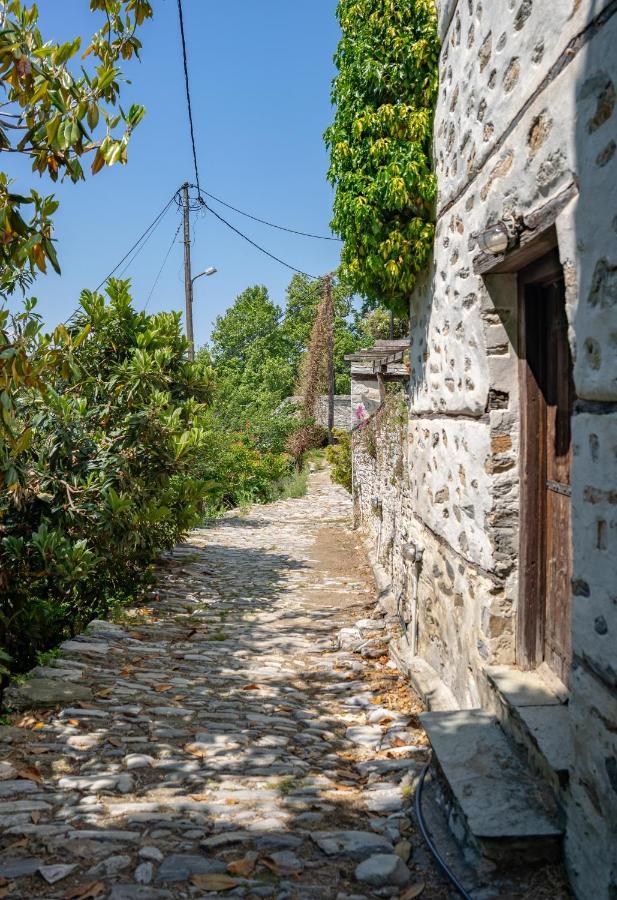 فيلا Pelion House With Stunning View To Relax فيزيتسا المظهر الخارجي الصورة