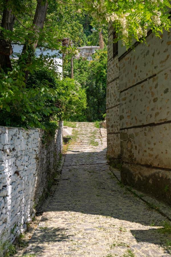 فيلا Pelion House With Stunning View To Relax فيزيتسا المظهر الخارجي الصورة