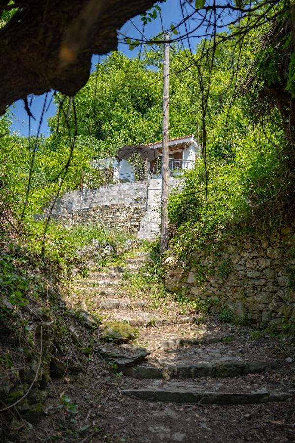فيلا Pelion House With Stunning View To Relax فيزيتسا المظهر الخارجي الصورة